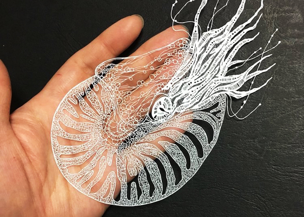 激光切割銅板紙與刀模切割的深入比較?(圖1)